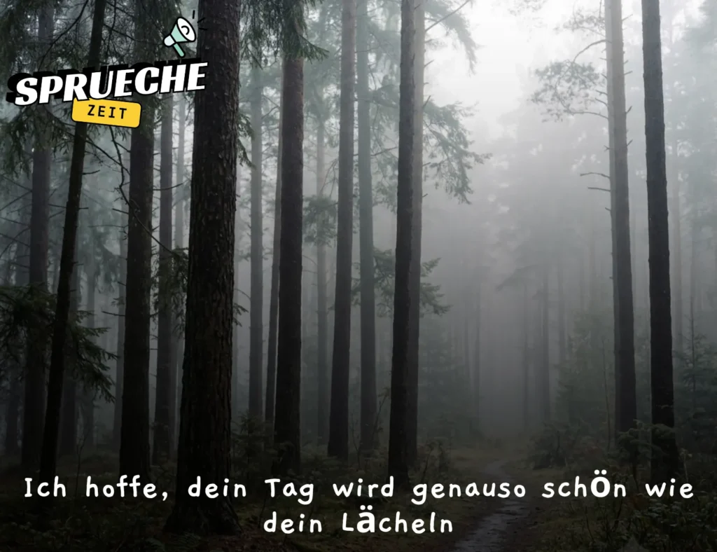 Teilen Sie Schöne Guten Morgen Dienstag Grüße mit Ihren Liebsten